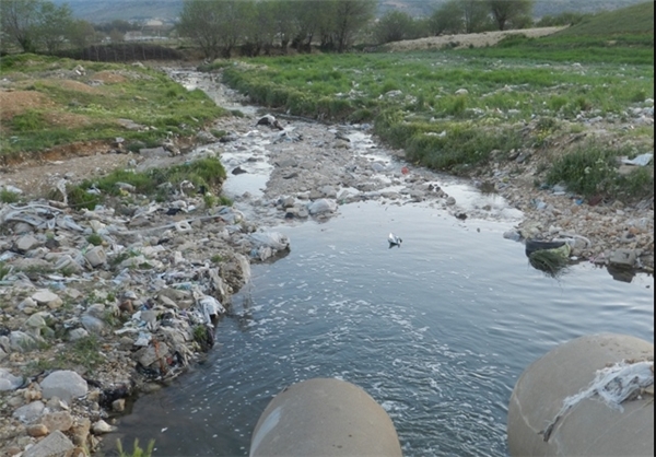 چشمان بسته محیط زیست بر روی فاجعه زیست محیطی بلوکو + تصاویر