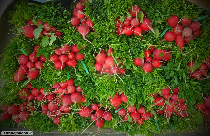 کسب روزی حلال با طعم سبزی درگچساران+تصاویر