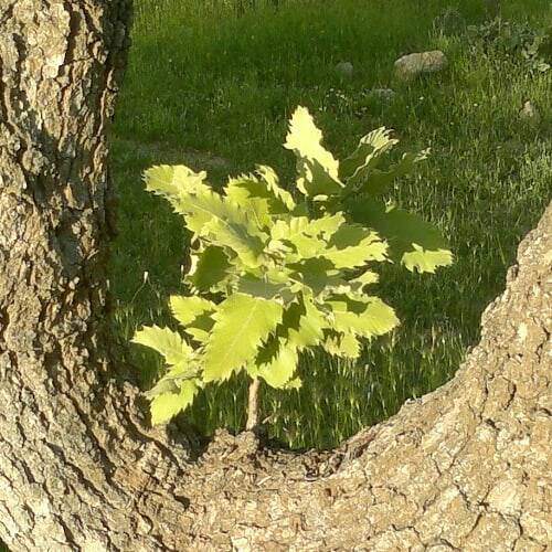 خشکسالی در کهگیلویه و بویراحمد از چالش ها تا راهکارهای مقابله