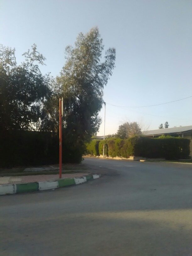 کشاورزی مهمتر است یا چمن منازل شرکتی؟!