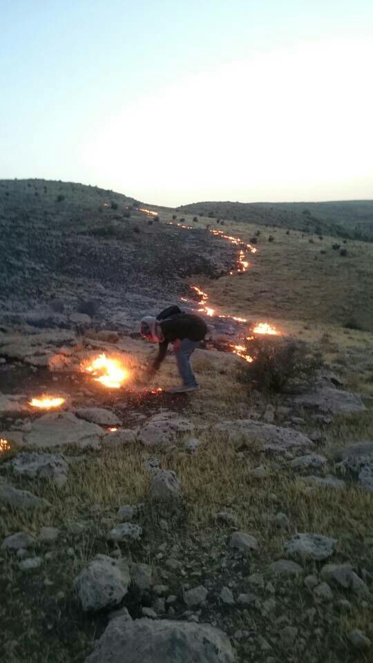 مهار آتش سوزی وسیع در تپه سلامت گچساران+تصاویر