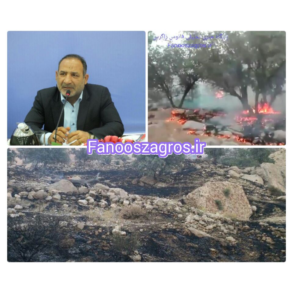 پیام عدل هاشمی پور در پی مهار آتش سوزی جنگل های شهرستانهای لنده و بهمئی