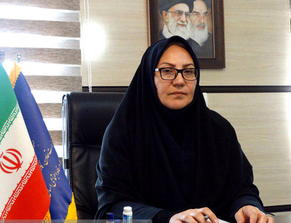 مدیرکل تعاون،کار و رفاه اجتماعی: افزایش ۲ برابری تشکل‌های کارگری و کارفرمایی در کهگیلویه و بویراحمد/جذب ۱۰۷ میلیارد تومان تسهیلات روستایی- عشایری