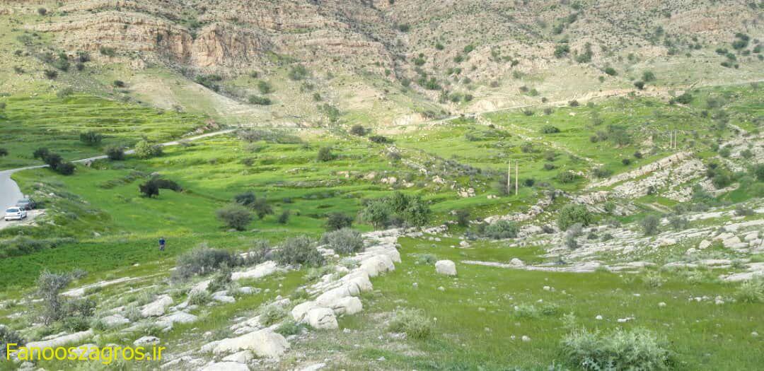 تصاویری زیبا از منطقه آرند شهرستان چرام