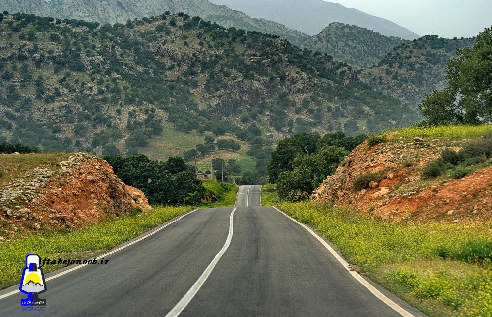 سرزمینی رویایی در کهگیلویه و بویراحمد/ دامنه های زیبای کوه خامی+تصاویر