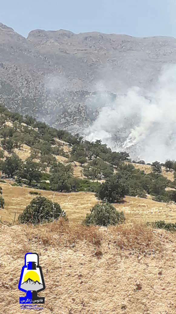 آتش سوزی وسیع جنگلها در “منطقه برابر” شهرستان باشت / لزوم ورود فوری مسولان استان و شهرستان+تصاویر
