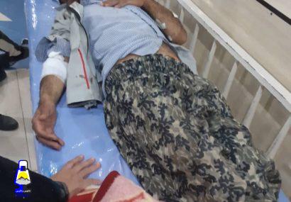 حمله پلنگ به چوپان در شهرستان دنا