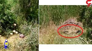 متهم به قتل در دهدشت دستگیر شد/ راز کشف دو جسد در دره شور