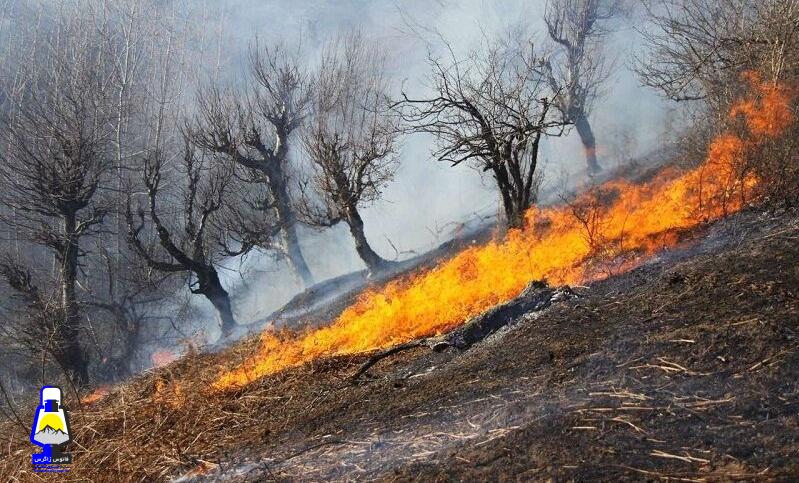 آتش سوزی در ارتفاعات و منطقه حفاظت شده کوه دیل گچساران همچنان ادامه دارد