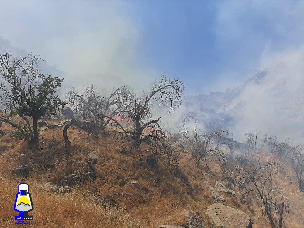 ناکافی بودن ۳۰۰دستگاه دمنده برای مهار آتش سوزی جنگلهای استان کهگیلویه و بویراحمد