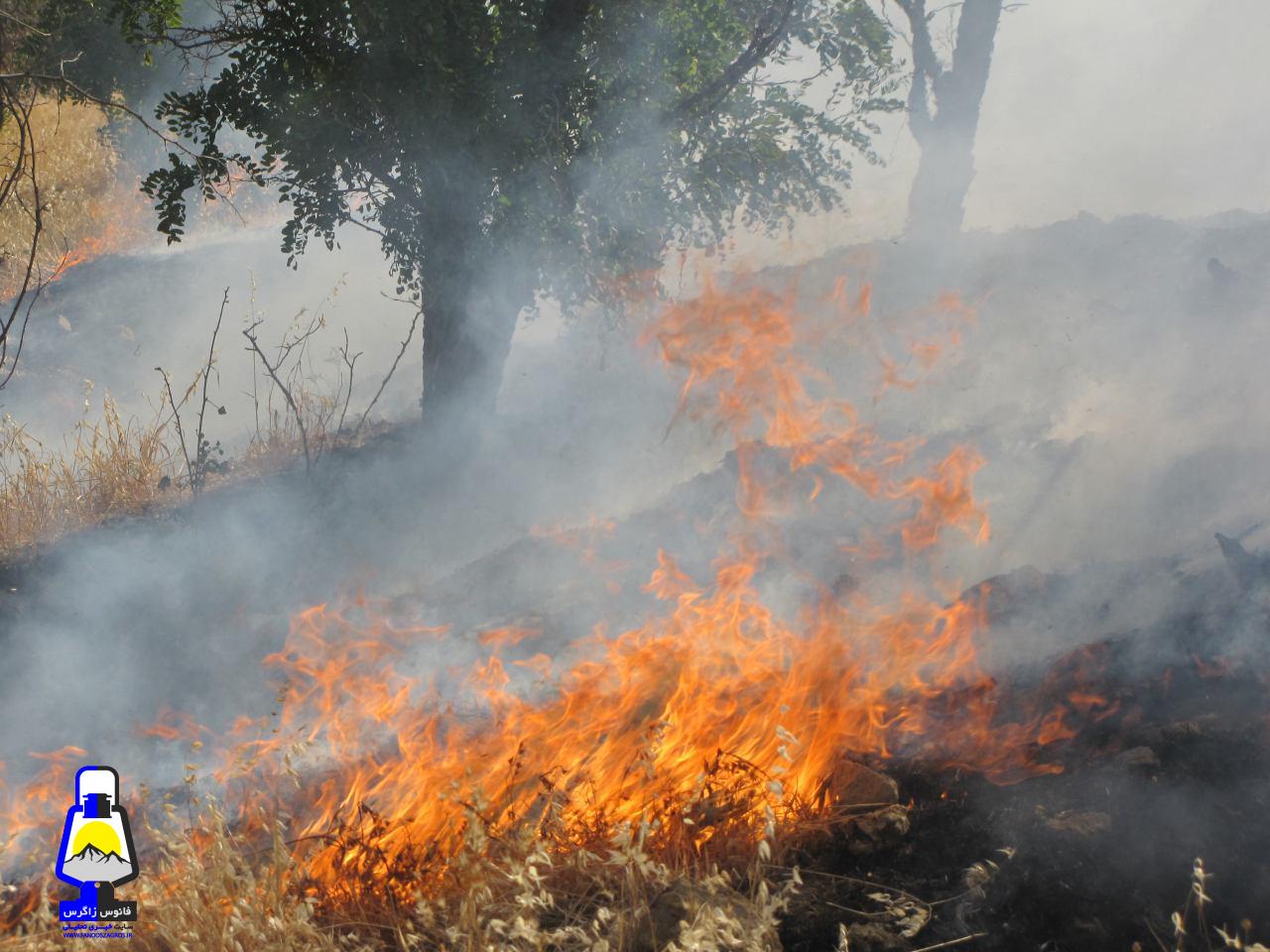 آتش سوزی جنگل ها و ارتفاعات گچساران مهار شد