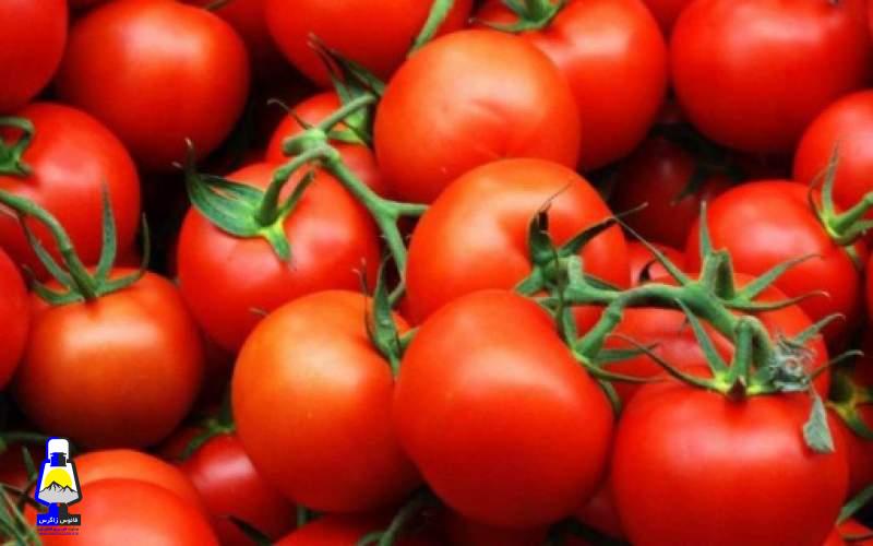 گوجه فرنگی هر کیلو ۱۵هزار تومان شد