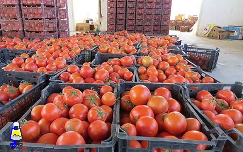 چرا عراق ۲۰۰ کامیون گوجه ایران را برگشت داد؟