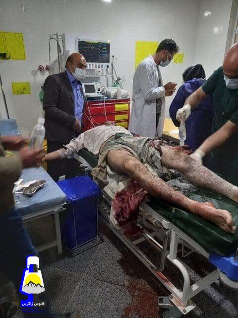 ماجرای حمله پلنگ به چوپان در شهرستان دنا / چوپان مقصر است /حمله ، دفاعی بود!