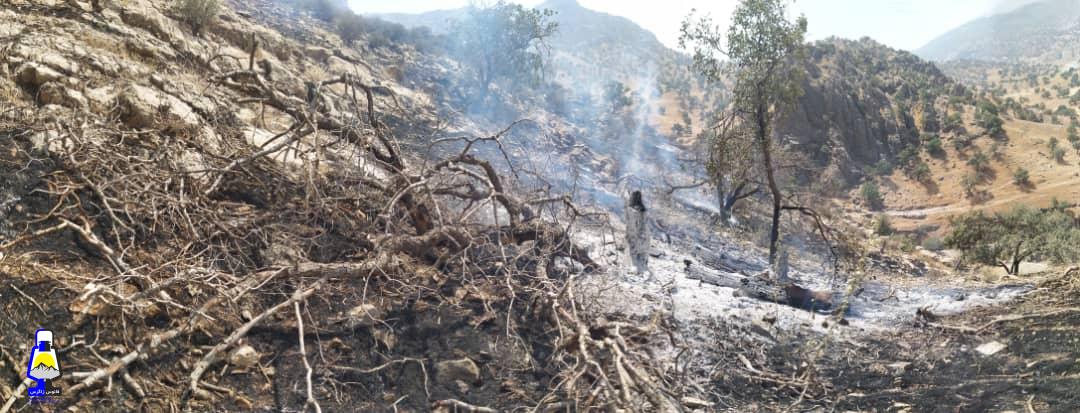آتشسوزی گسترده در مراتع و جنگل های شاه بهرام و شادگان همچنان ادامه دارد+تصاویر