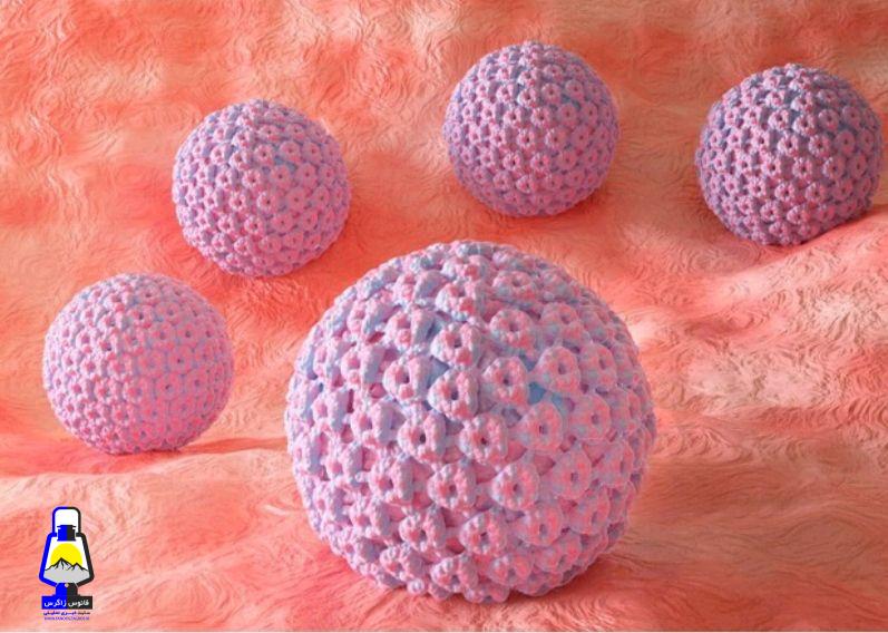 درمان زگیل تناسلی با شیتاکه