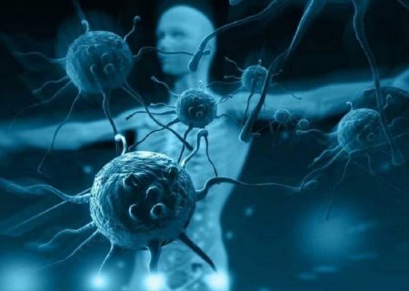 تحریک سیستم ایمنی بدن در زمان مطلوب