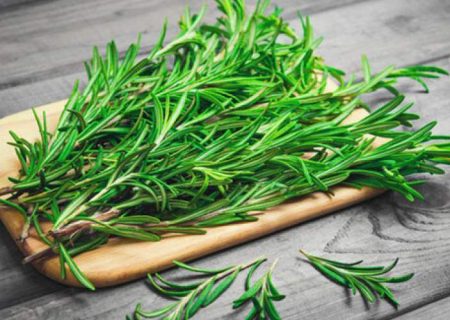 خواص جادویی رزماری برای مو را بشناسید