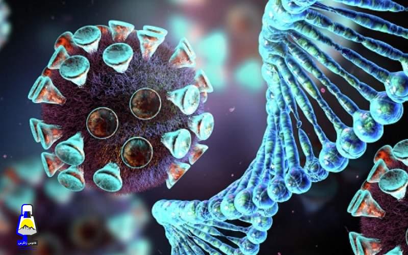 راهی برای پیش‌بینی مرگ ناشی از کرونا