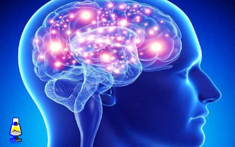 روشهایی برای پیشگیری از پیری زودرس مغز