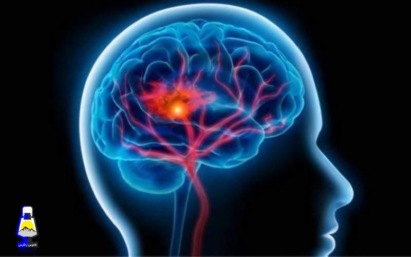 شیوع یک بیماری “مرموز” مغزی در کانادا