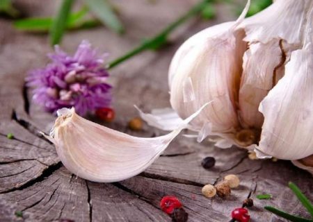 مصرف سیر برای چه کسانی ممنوع است؟