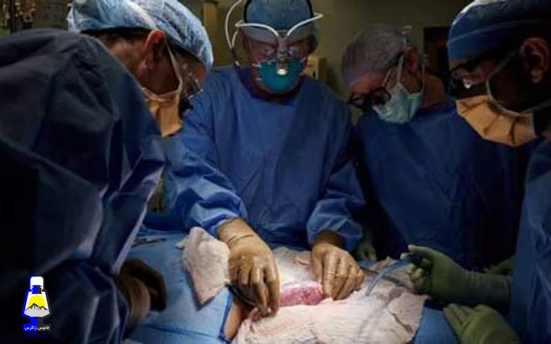 پیوند کلیه حیوان به انسان برای اولین بار در جهان