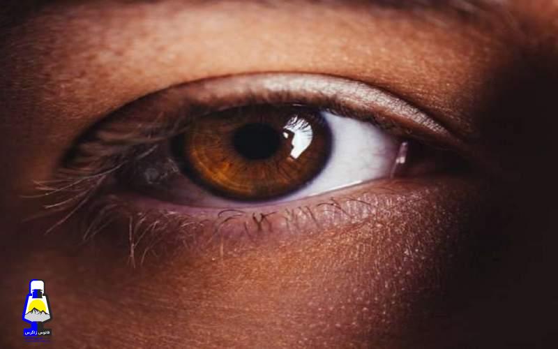 کشف یک درمان پروتئینی جدید برای آب سیاه