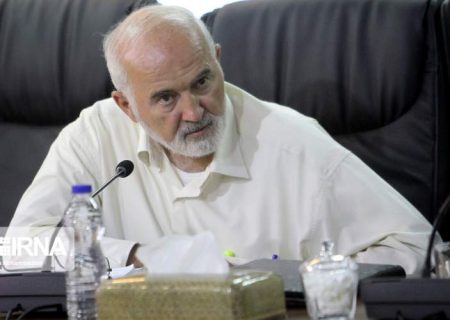 حمله شدید احمد توکلی به مصوبه مولدسازی درآمدهای دولت ؛ بسیار شباهت به رفتار معتادی دارد که نیازمند تهیه هزینه موادش است