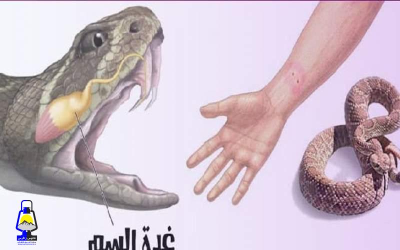 زهر مار چیست و چه تاثیری بر بدن دارد؟