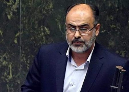 مخالفان طرح صیانت گرگ‌ و سگ‌ هستند!