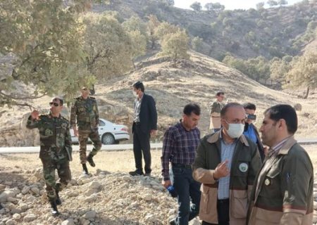 ۶۰ هزار هکتار جنگل کهگیلویه و بویراحمد به آفت پروانه برگ خوار سفید و جوانه خوار بلوط مبتلا هستند