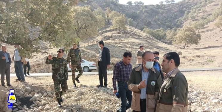 ۶۰ هزار هکتار جنگل کهگیلویه و بویراحمد به آفت پروانه برگ خوار سفید و جوانه خوار بلوط مبتلا هستند