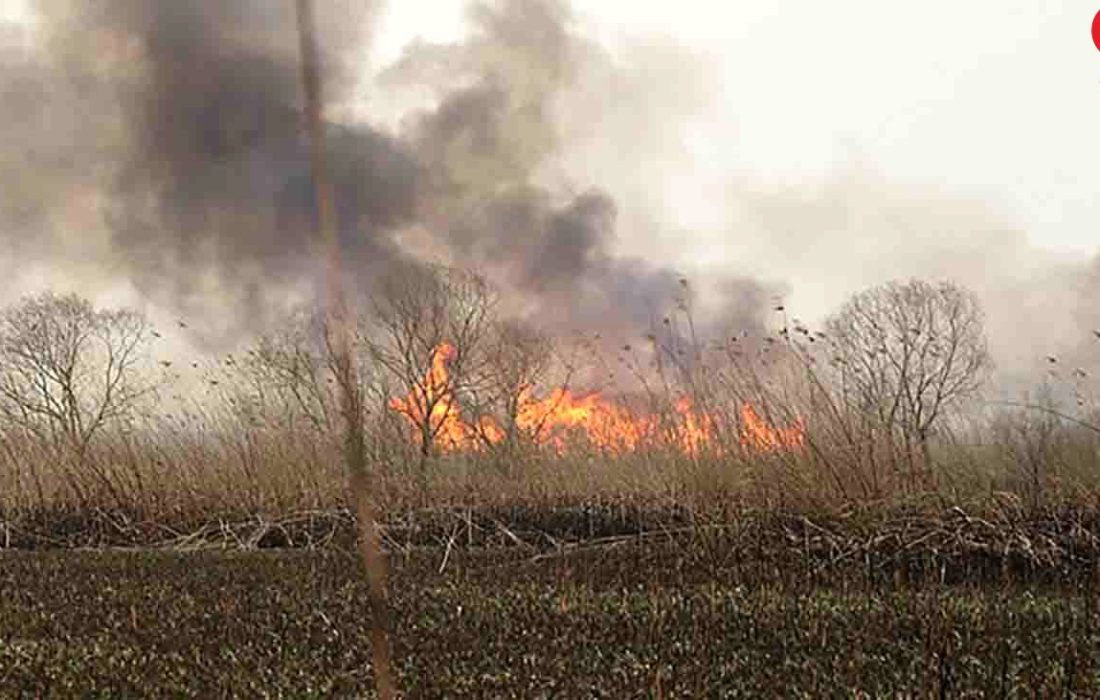 بیاحتیاطی افراد و آتش سوزی هایی که سرمایههای مردم و طبیعت را دود میکند