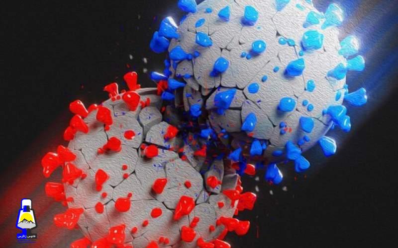 سمبه پر زور او میکرون