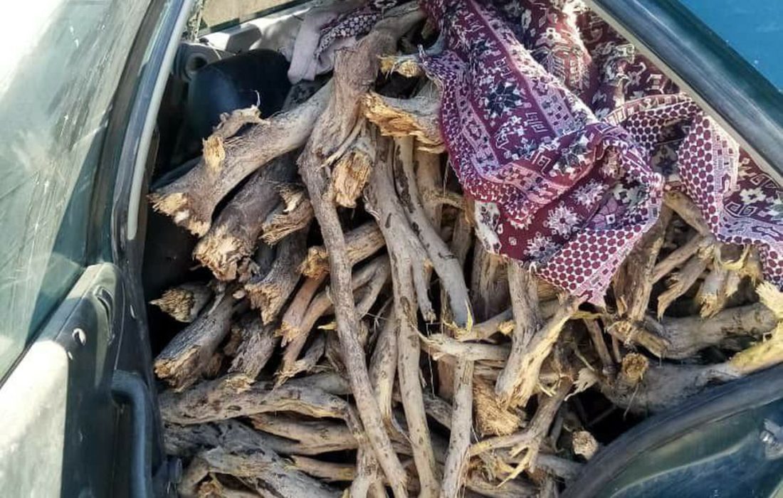 آتش قاچاقچیان بر جان تاغ‌های نیشابور