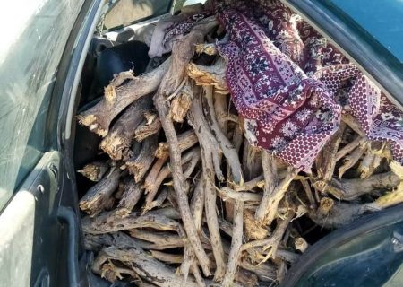 آتش قاچاقچیان بر جان تاغ‌های نیشابور