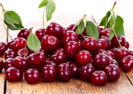 با این میوه تابستانی حافظه تان را تقویت کنید