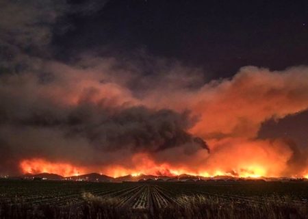 تخلیه ۱۵۰۰ نفر به دلیل آتش سوزی بزرگ در اسپانیا