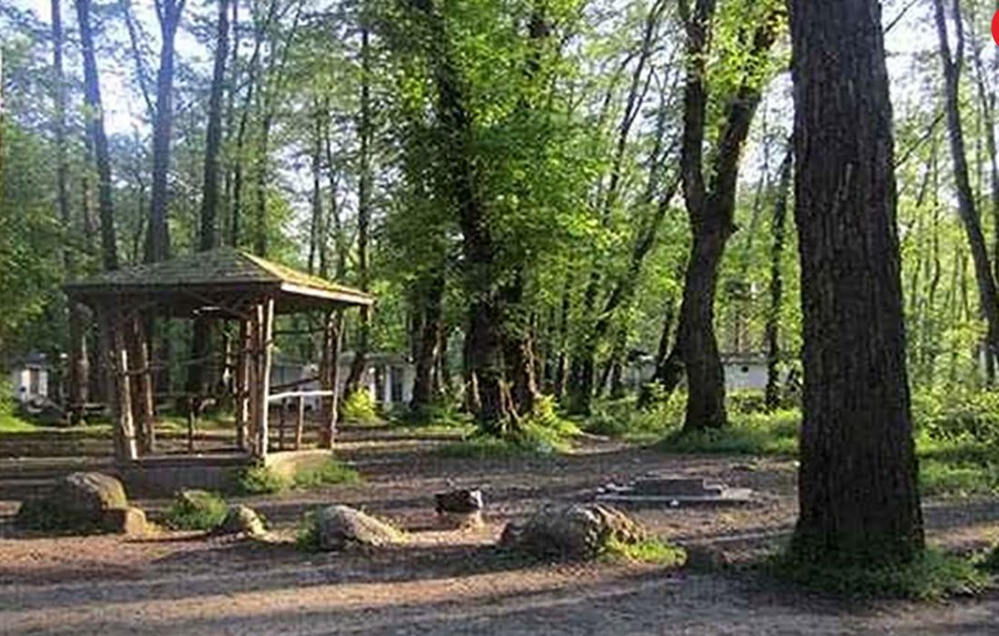 ساعات دلهره آور برای دختر ۳ ساله در جنگل چالوس + جزییات