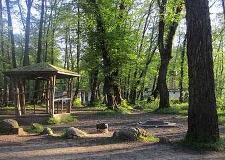 ساعات دلهره آور برای دختر ۳ ساله در جنگل چالوس + جزییات