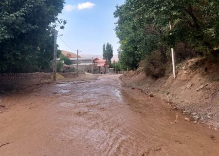سواری پژو در سیلاب ایذه غرق شد