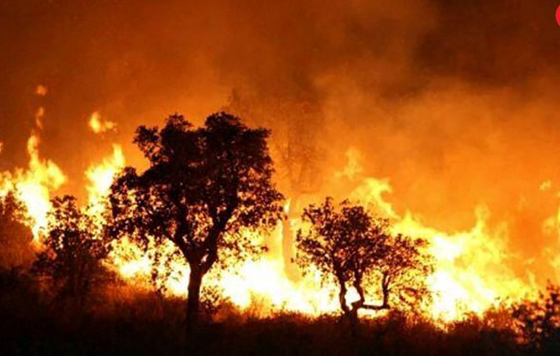 آتش سوزی در چند منطقه از شهرستان باشت