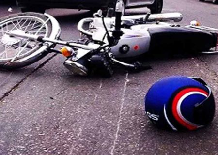 مرگ همزمان زن و شوهر مسن در صحنه دلخراش / در عجب شیر رخ داد