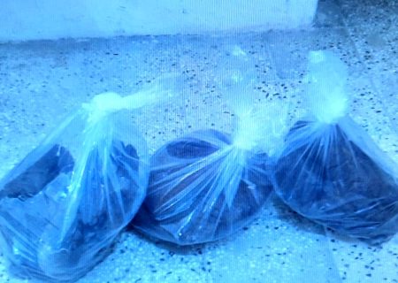 مواد مخدر ماهرانه در پراید جاسازی شده بود/ ماموران دنا کشف کردند