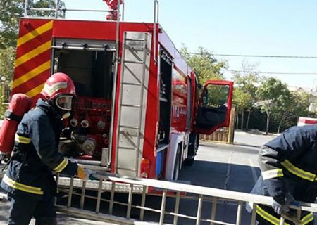 نجات جان  آدم‌ها با چاشنی خشونت + فیلم