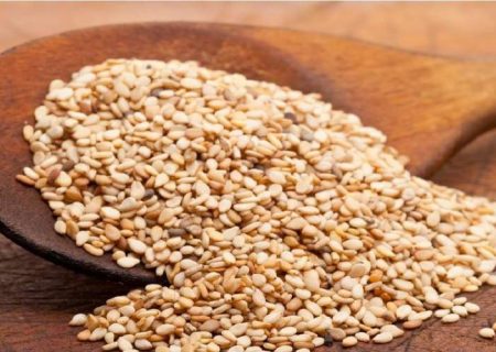 تامین پروتئین مورد نیاز گیاه‌خواران با کنجد