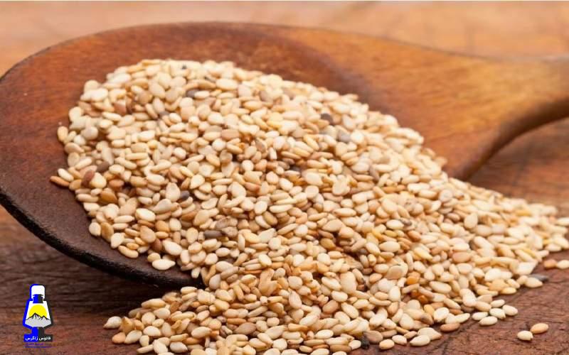 تامین پروتئین مورد نیاز گیاه‌خواران با کنجد