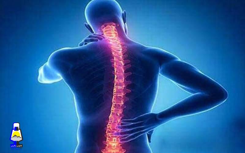 توصیههای مهم برای مراقبت از ستون فقرات