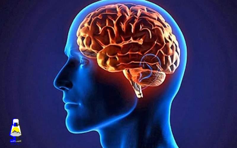 خطرناک ترین دشمن مغز را بشناسید
